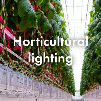 LEDiL application examples of horticultural lighting