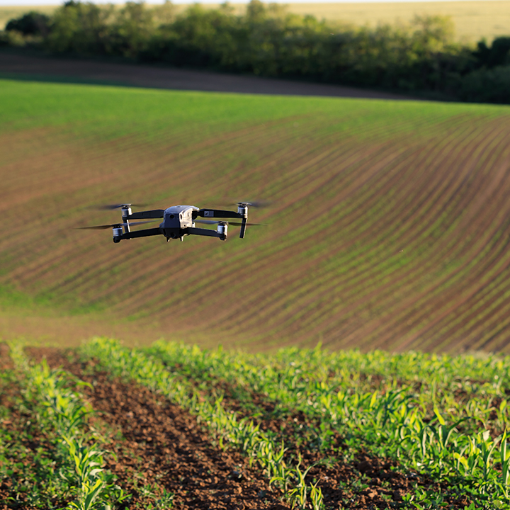 Agriculture - Crop monitoring, and drone-based analysis.