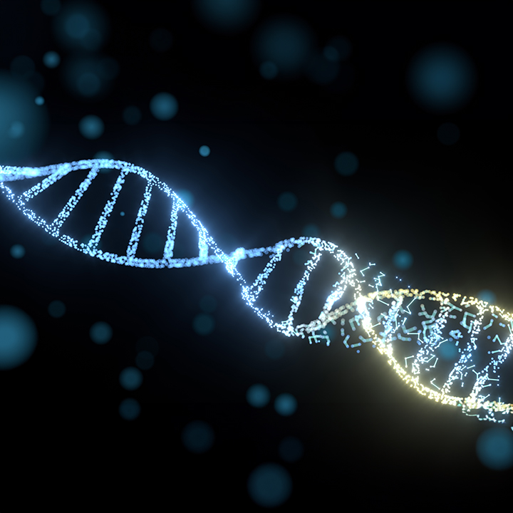 Scientific research - Microscopy, spectroscopy, laser experiments.